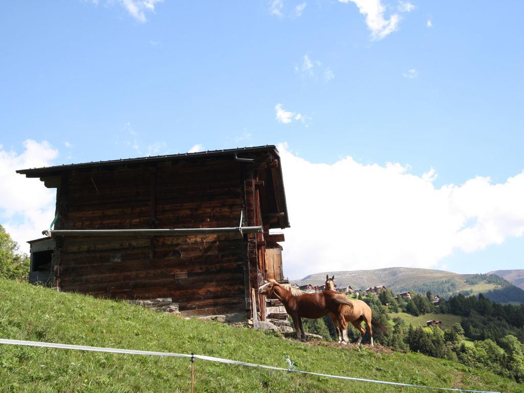 Superb Apartment With Views Of The Alps Bellwald Dış mekan fotoğraf